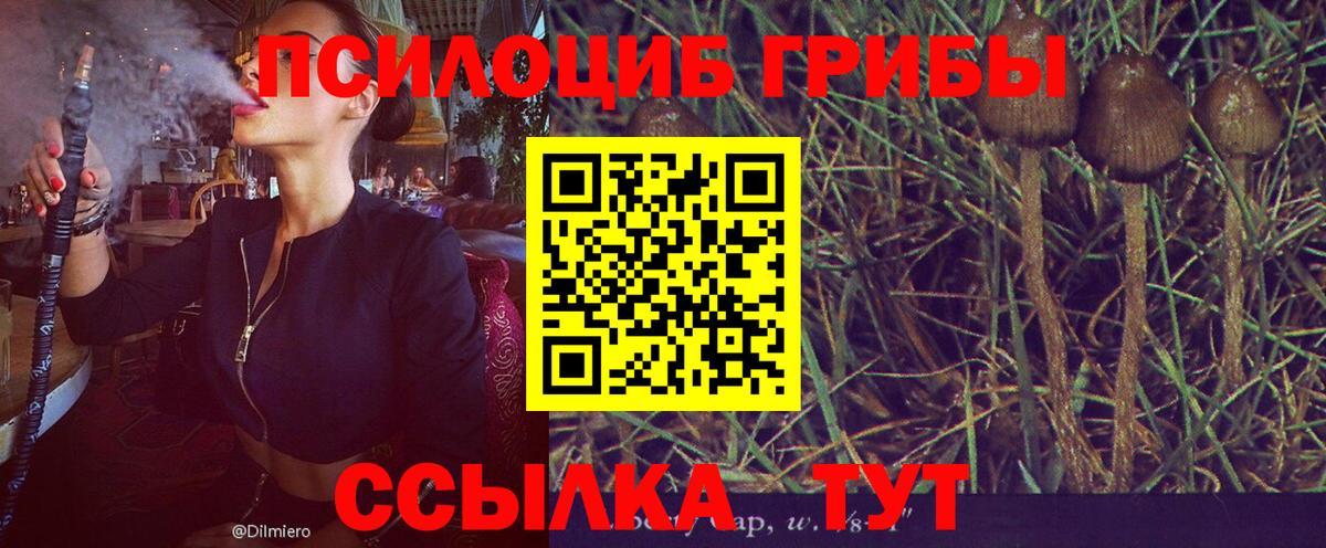 Галлюциногенные грибы MAGIC MUSHROOMS  Вход с VPN  Лысьва 